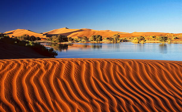 View of sand dune in desert against clear sky.