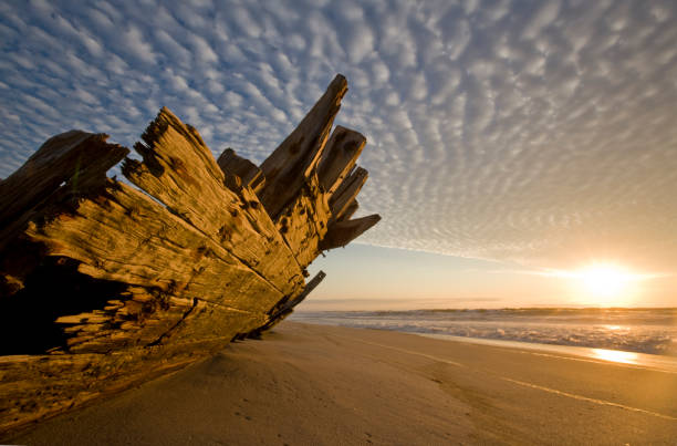 Africa, Namibia, Skeleton Coast Wilderness, Remains of the shipwrecked fishing boat FV Southwest Seas along white sand beach at sunset
